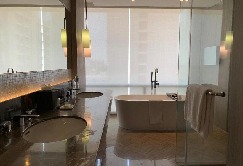 Люкс, Hyatt Regency Ahmedabad