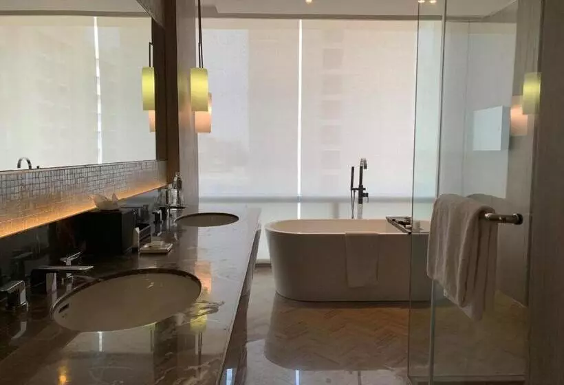 スイート, Hyatt Regency Ahmedabad