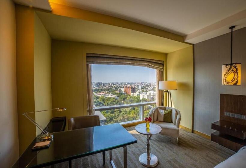 キングサイズベッドのスタンダードルーム, Hyatt Regency Ahmedabad