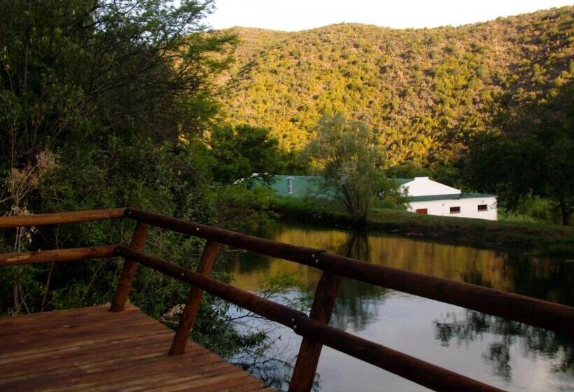 استودیو استاندارد با چشم‌انداز, Old Mill Lodge, Seasonal Working Ostrich Farm & Restaurant, Oudtshoorn