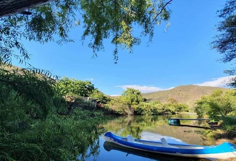 استودیو استاندارد با چشم‌انداز, Old Mill Lodge, Seasonal Working Ostrich Farm & Restaurant, Oudtshoorn
