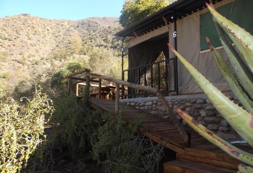 چادر با خدمات رفاهی لوکس, Old Mill Lodge, Seasonal Working Ostrich Farm & Restaurant, Oudtshoorn