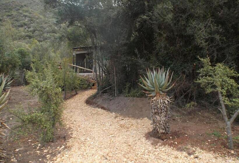 چادر با خدمات رفاهی لوکس, Old Mill Lodge, Seasonal Working Ostrich Farm & Restaurant, Oudtshoorn