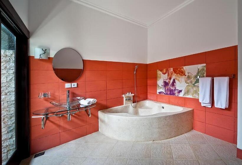 חדר דלוקס, Rossa Garden