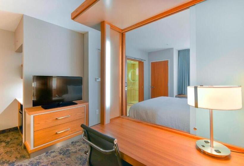 带大床的套房, Springhill Suites By Marriott Wilmington Wrightsville Beach