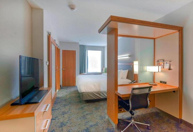 带大床的套房, Springhill Suites By Marriott Wilmington Wrightsville Beach