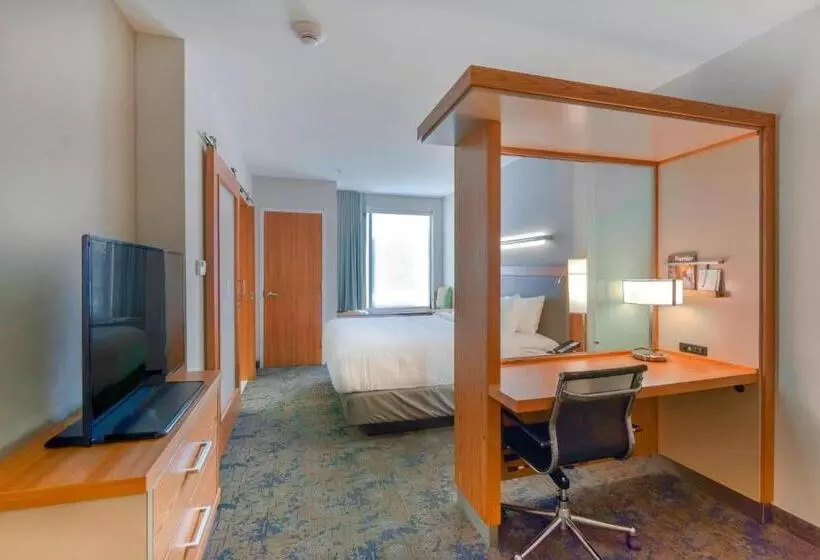 キングサイズベッドのスイートルーム, Springhill Suites By Marriott Wilmington Wrightsville Beach