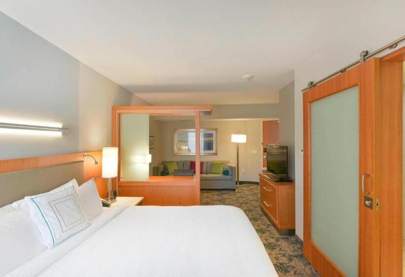 Люкс Кровать Кинг, Springhill Suites By Marriott Wilmington Wrightsville Beach