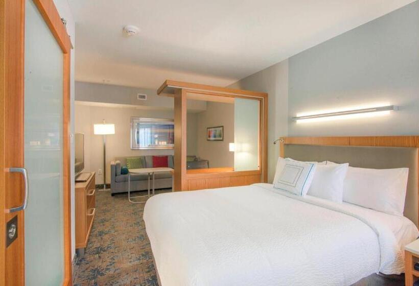 带大床的套房, Springhill Suites By Marriott Wilmington Wrightsville Beach