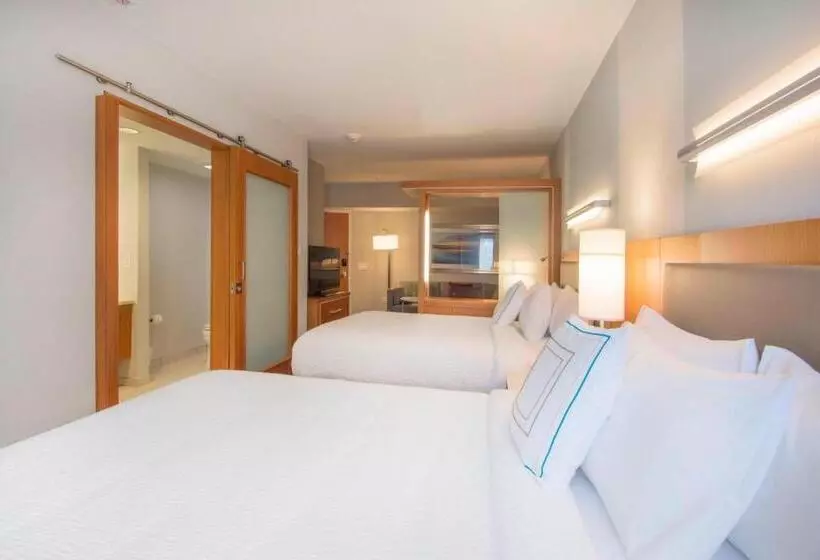 スタンダードルーム, Springhill Suites By Marriott Wilmington Wrightsville Beach