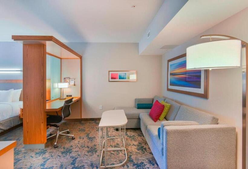 标准间, Springhill Suites By Marriott Wilmington Wrightsville Beach