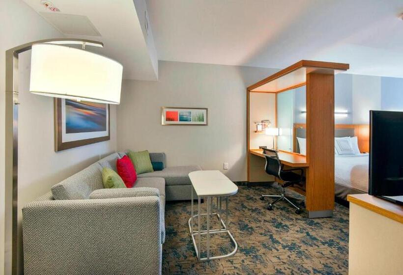 Номер Стандарт, Springhill Suites By Marriott Wilmington Wrightsville Beach