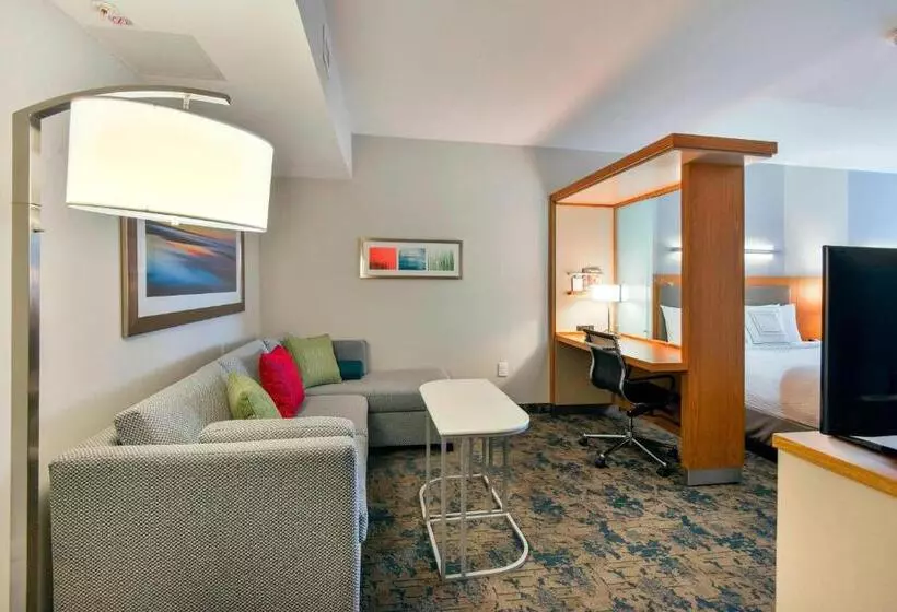 スタンダードルーム, Springhill Suites By Marriott Wilmington Wrightsville Beach