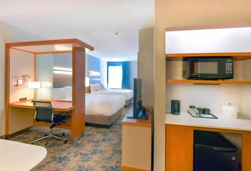 スタンダードルーム, Springhill Suites By Marriott Wilmington Wrightsville Beach