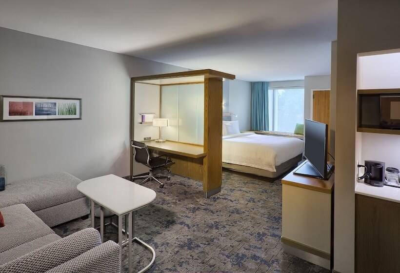 套房, Springhill Suites By Marriott Wilmington Wrightsville Beach