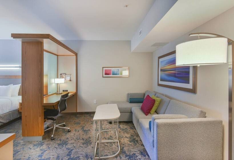 套房, Springhill Suites By Marriott Wilmington Wrightsville Beach