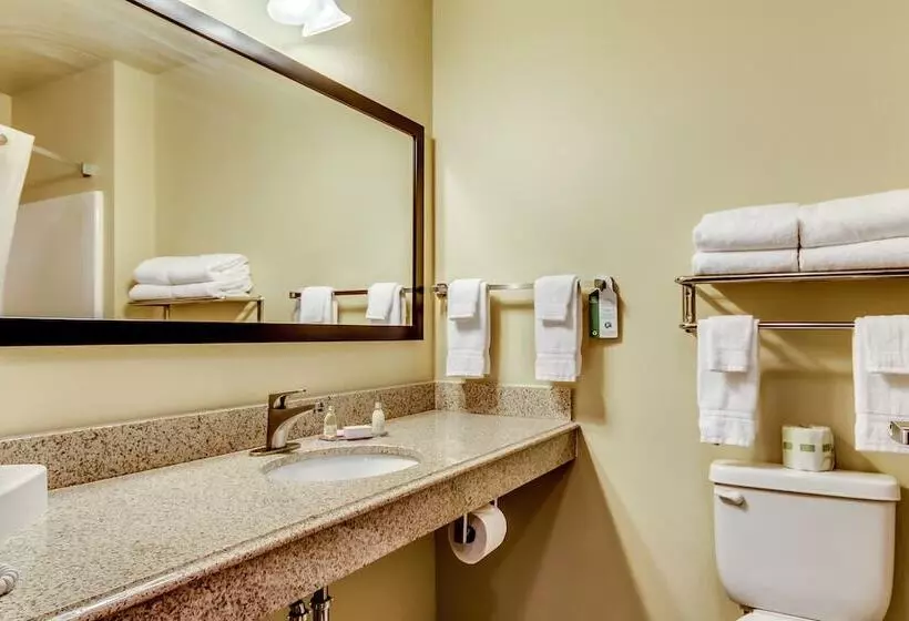 スイート, Cobblestone Inn & Suites   Waverly