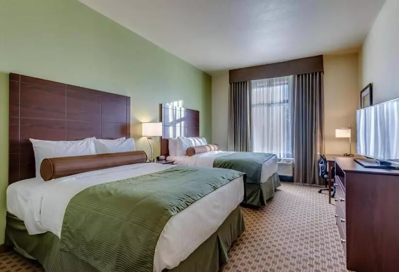 デラックスルーム, Cobblestone Inn & Suites   Waverly
