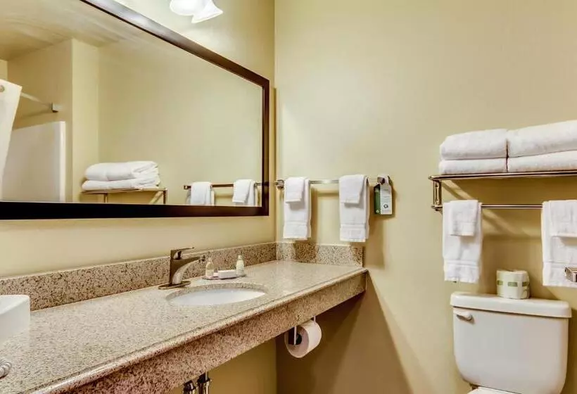 キングサイズベッドのデラックスルーム, Cobblestone Inn & Suites   Waverly