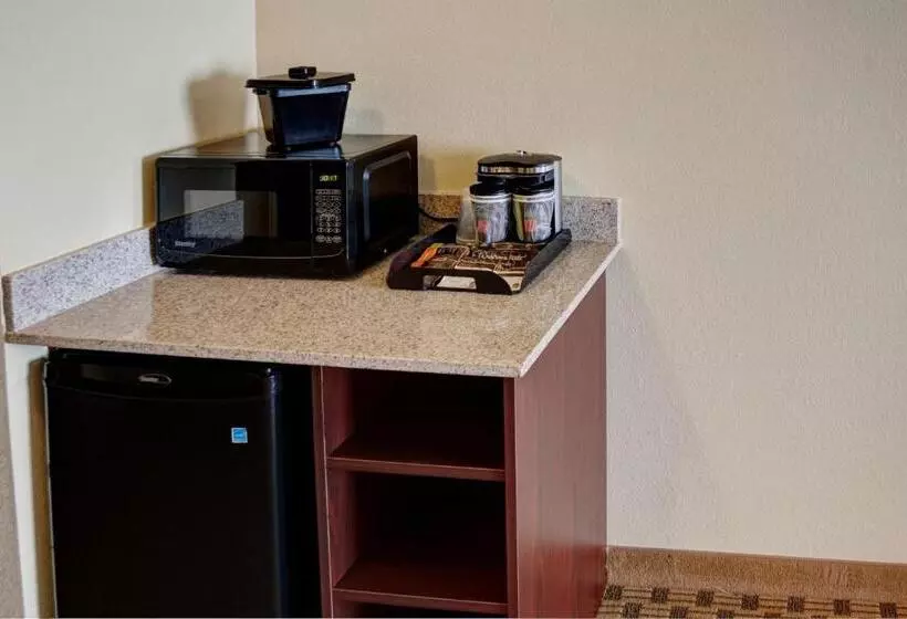 キングサイズベッドのデラックスルーム, Cobblestone Inn & Suites   Waverly