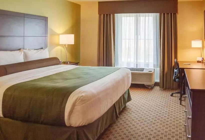 キングサイズベッドのデラックスルーム, Cobblestone Inn & Suites   Waverly