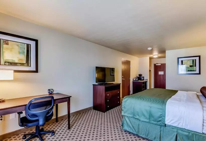 キングサイズベッドのデラックスルーム, Cobblestone Inn & Suites   Waverly