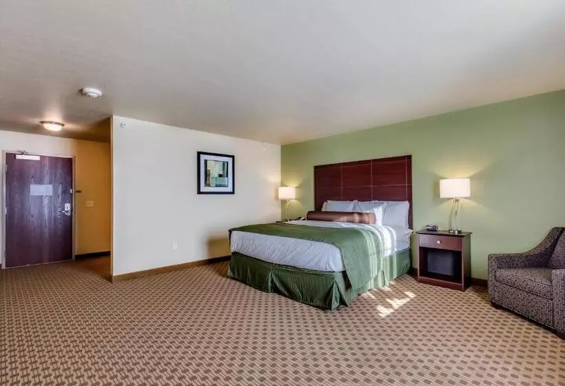 キングサイドベッドのスタンダードワンルーム, Cobblestone Inn & Suites   Waverly