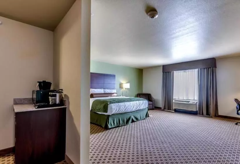 キングサイドベッドのスタンダードワンルーム, Cobblestone Inn & Suites   Waverly