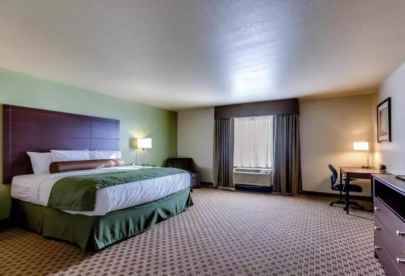 キングサイドベッドのスタンダードワンルーム, Cobblestone Inn & Suites   Waverly