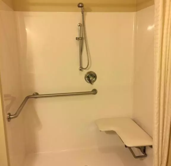 身障者適用キングサイズベッドルーム, Cobblestone Inn & Suites   Waverly