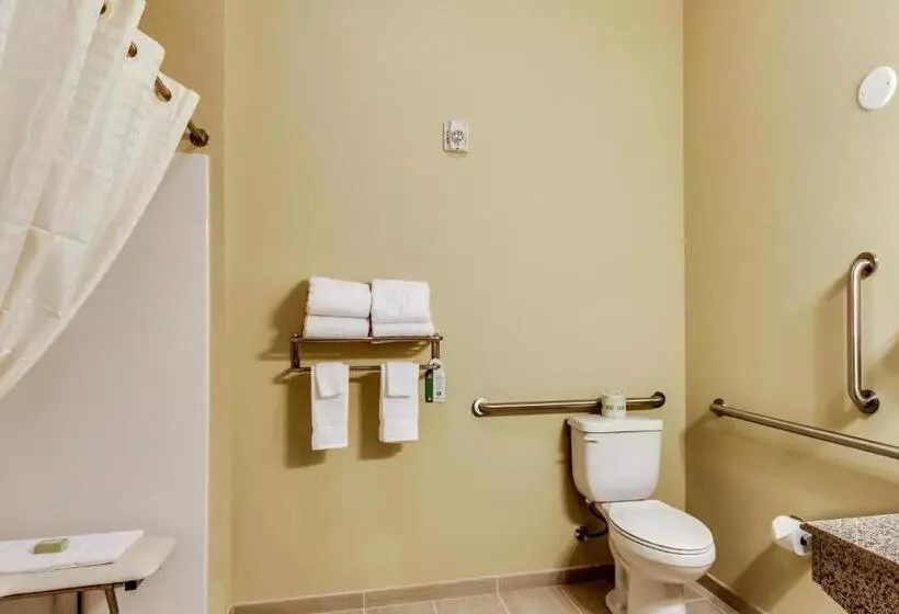 身障者適用キングサイズベッドルーム, Cobblestone Inn & Suites   Waverly