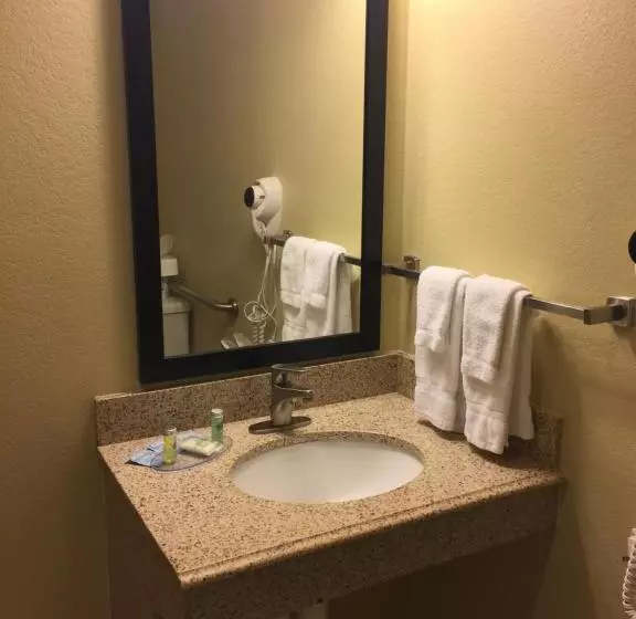 身障者適用キングサイズベッドルーム, Cobblestone Inn & Suites   Waverly