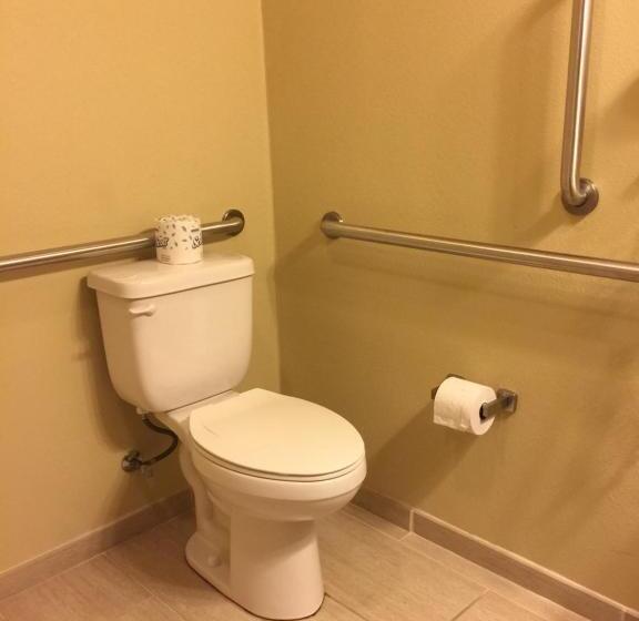 Студия Стандарт, Cobblestone Inn & Suites   Waverly