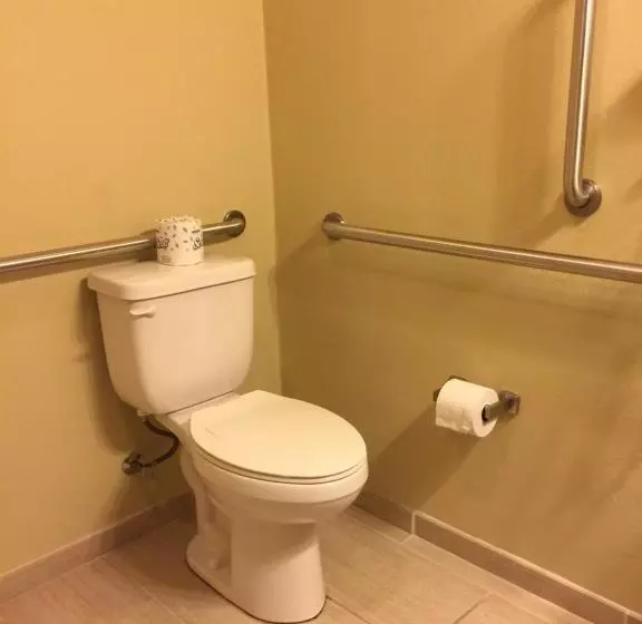 スタンダードスタジオ, Cobblestone Inn & Suites   Waverly