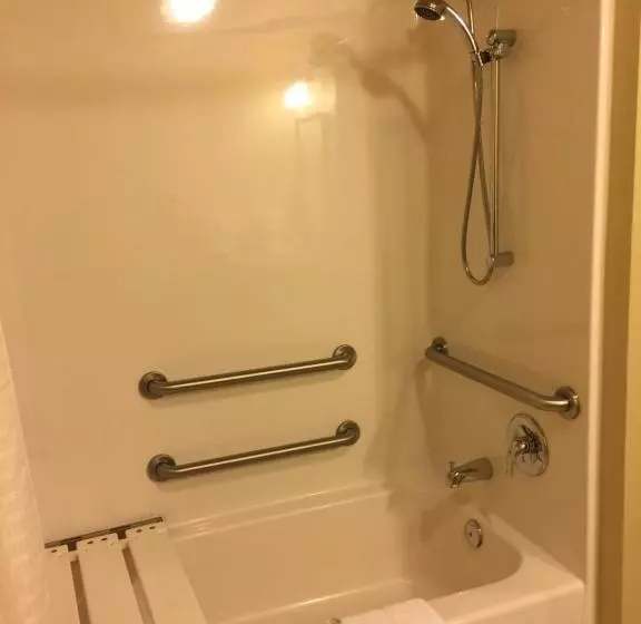 スタンダードスタジオ, Cobblestone Inn & Suites   Waverly