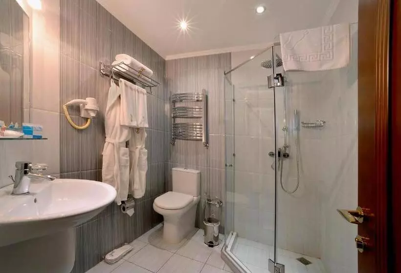 اتاق استاندارد, Spa Hotel Grace Forum