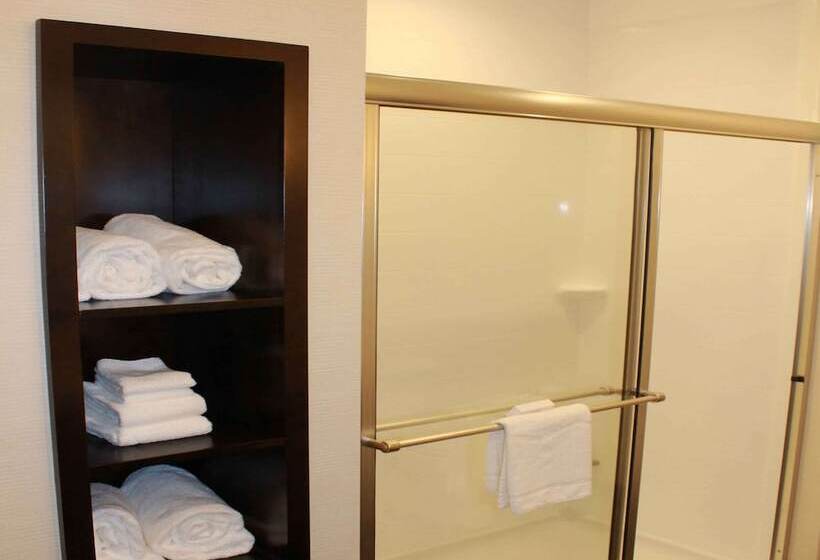 غرفة قياسية سرير كينج, Hampton Inn & Suites Stroudsburg Pocono Mountains