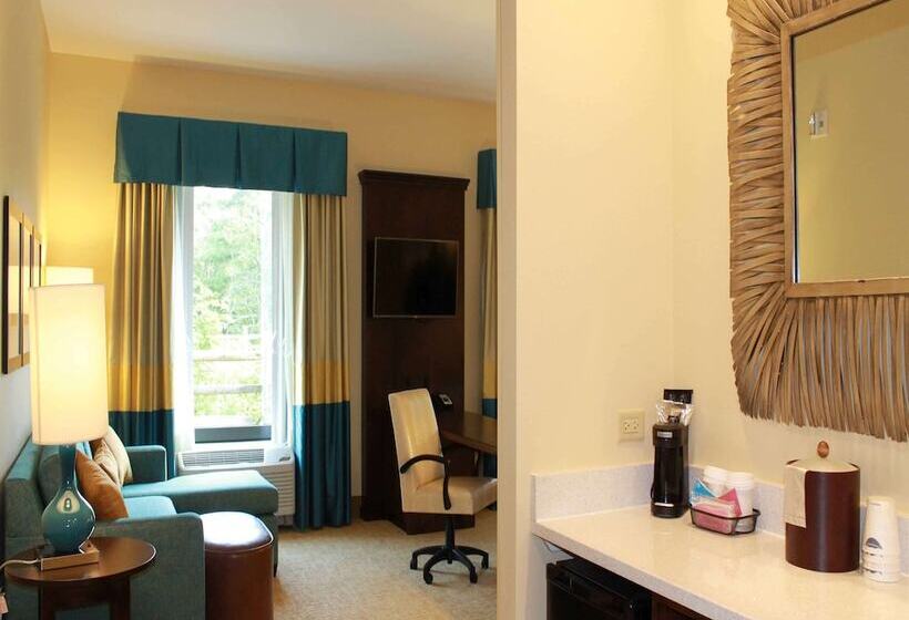 إستوديو قياسى سرير كينج, Hampton Inn & Suites Stroudsburg Pocono Mountains