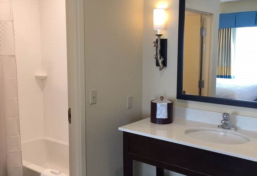 스탠다드 스튜디오 킹침대, Hampton Inn & Suites Stroudsburg Pocono Mountains