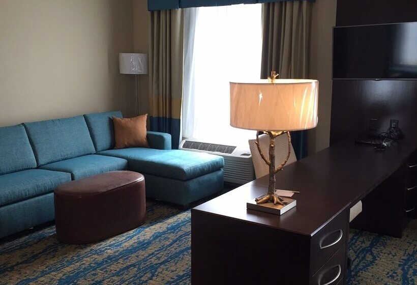 إستوديو قياسى سرير كينج, Hampton Inn & Suites Stroudsburg Pocono Mountains