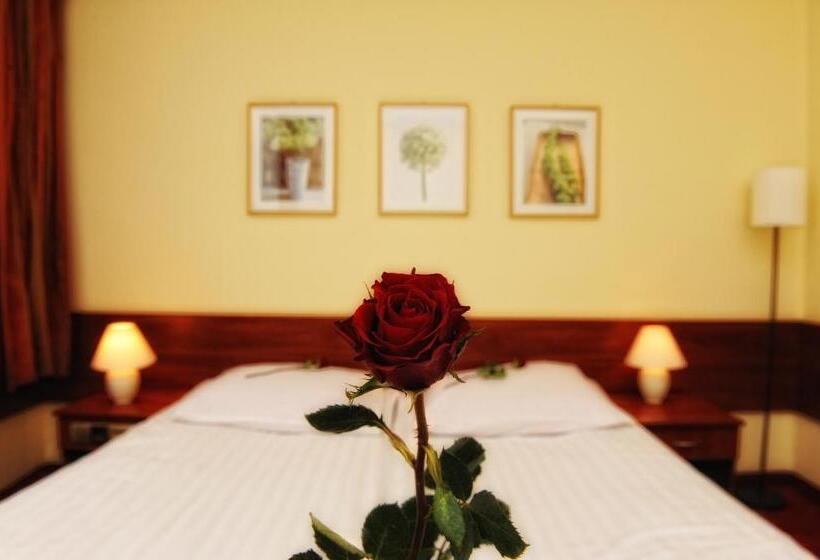 スタンダードシングルルーム, Ośrodek Wypoczynkowy Alcest