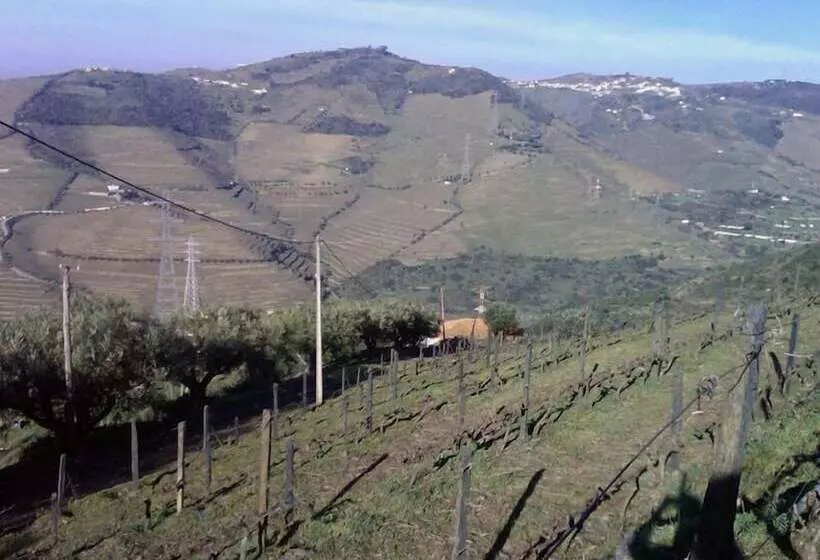 スタンダードルーム, Quinta De Casaldronho Wine