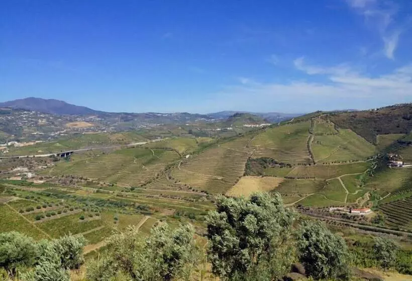 スイート, Quinta De Casaldronho Wine
