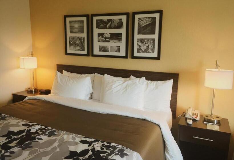 غرفة قياسية سرير كينج, Sleep Inn & Suites Carlsbad Caverns Area