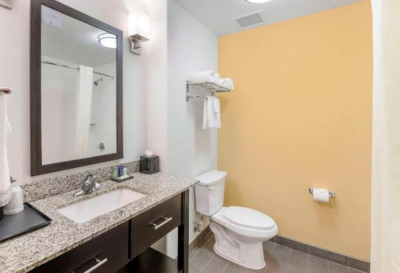 带大床的标准间, Sleep Inn & Suites Carlsbad Caverns Area