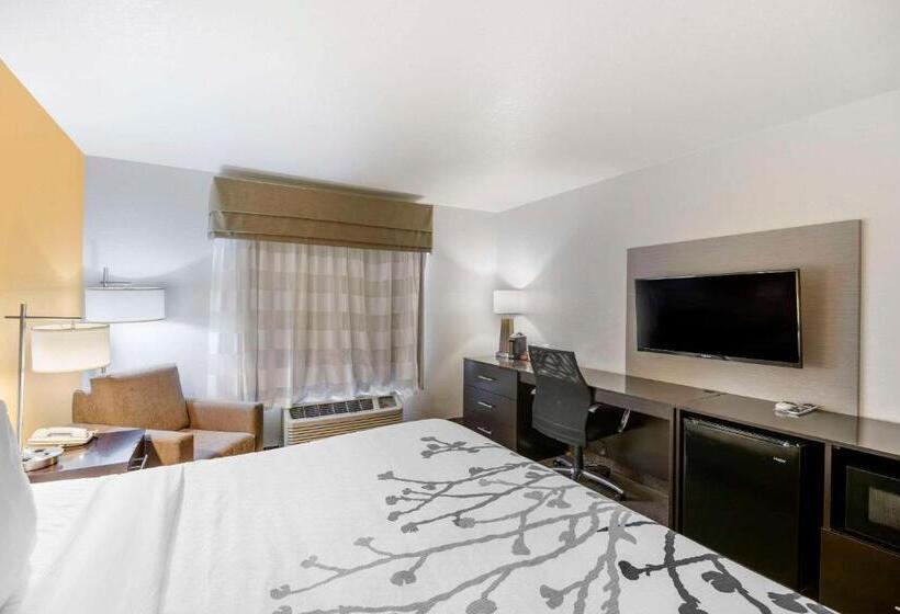 غرفة قياسية سرير كينج, Sleep Inn & Suites Carlsbad Caverns Area