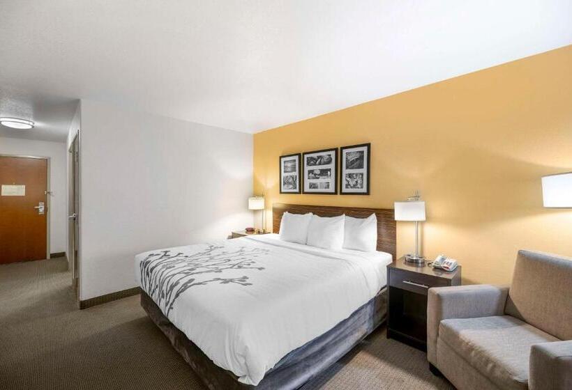 Стандартный Номер Кровать Кинг, Sleep Inn & Suites Carlsbad Caverns Area