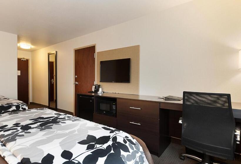 带2个双人床的标准工作室, Sleep Inn & Suites Carlsbad Caverns Area