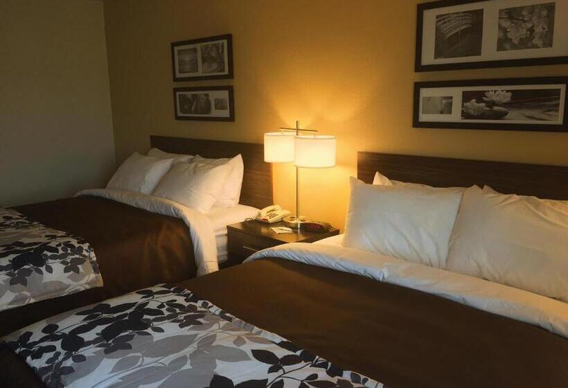 غرفه قياسيه سريرين مزدوجين, Sleep Inn & Suites Carlsbad Caverns Area