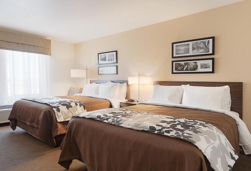 带2个双人床的标准工作室, Sleep Inn & Suites Carlsbad Caverns Area